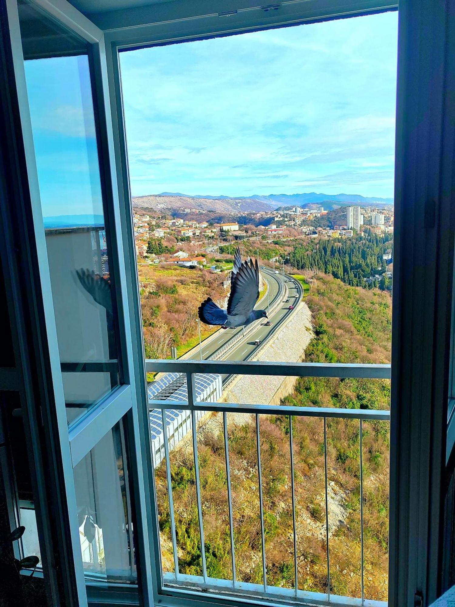 Apartament Under The Sky Rijeka Zewnętrze zdjęcie